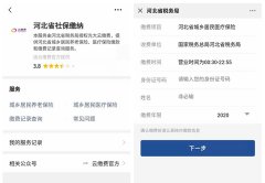 系统就把姓名设为非必输选项